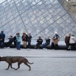 வடக்கு மண்ணில் தைப்பொங்கலை கொண்டாடும் ஜனாதிபதி அநுர!