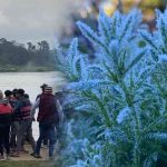 பாம்பனில் மீனவர்களின் உறவினர்கள் சாலை மறியலில்