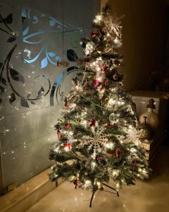 Sivakarthikeyan, SK Family, Aaradhana, Gugan Doss, SK25, Parasakthi, New Year Celebration, Tamil Cinema News, Viral Photos.