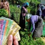 1,000  வீரர்களின் உடல்களை உக்ரைனிடம் ஒப்படைத்த ரஷ்யா!