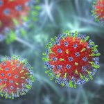 சுதந்திர தின விழாவுக்கு ரூ. 100 மில்லியன் ஒதுக்கீடு!