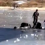 சொத்து சுகம் சேரும் காலம்! – உங்கள் ராசி இதில் இருக்கிறதா என்று பாருங்கள்.