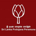 பிரியா பவானி சங்கரின் காதல் மேஜிக்! வைரலாகும் ரொமாண்டிக் புகைப்படங்கள்.