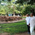 தசையை விட குடலே முக்கியம்! புரோட்டீன் மோகத்தைக் குறைக்கும் தமிழரின் பாரம்பரியம்.