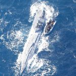 சீனாவில் பனிச்சிறுத்தையுடன் புகைப்படம் எடுக்க முயன்ற பெண் வீரருக்கு நேர்ந்த கதி