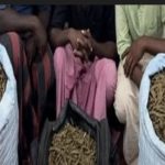 குஜராத்தில் பயங்கரவாத குற்றச்சாட்டில் 22 வயது இளைஞர் கைது