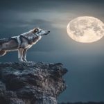 விமான நிலையத்தில் பல மில்லியன் ரூபா பெறுமதியான போதைப்பொருளுடன் இந்திய பிரஜை கைது