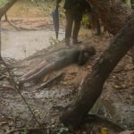 555 பயணிகளுடன் சுற்றுலாக் கப்பல் திருகோணமலை துறைமுகம் வருகை!