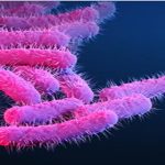 ட்ரம்ப் ஆட்சியில் பெரும்பாலான அமெரிக்கர்கள் பணக்காரர்களாக மாறியுள்ளனர் – வான்ஸ் கருத்து!