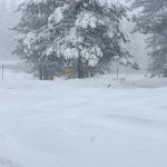 வங்குரோத்து அரசியல்வாதிகளால் இனவாத ஆயுதம் கையிலெடுப்பு!