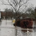 இடுப்பு வலை பாதிப்பு: இங்கிலாந்தில் ஆயிரக்கணக்கான பெண்கள் வேதனை -அரசாங்கம் இன்னும் மௌனம்