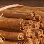 போராடி தோற்றது நெதர்லாந்து! பாகிஸ்தான் அணி வெற்றி!!