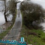 இலவங்கப்பட்டை ஏற்றுமதி மூலம் 260 மில்லியன் டொலர் வருமானம்