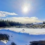 இங்கிலாந்து அணி 5 விக்கெட்டுகளால் வெற்றி!