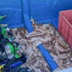 ஈராக்கில் அடைத்து வைக்கப்பட்டிருந்த கைதிகளை மீளப் பெற்றுக்கொள்ள துருக்கி இணக்கம்!