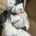 ஈரானில் ஆட்சி மாற்றம் தேவையா? – மனம் திறந்த ட்ரம்ப்!