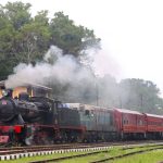 ஸ்பெயினில் அடுக்குமாடிக் குடியிருப்பில் தீ விபத்து – 05 பேர் உயிரிழப்பு!