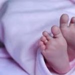 “புலிகள் சரணடைவு”: பொன்சேகா வெளியிட்ட கருத்துக்கு நாமல் பதிலடி!