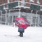 டெங்கு நோய் தலைவிரிப்பு: 12,165 பேர் பாதிப்பு!