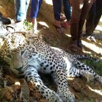 கடுமையான குளிர் – நியூயார்க்கில் 18 பேர் மரணம்!