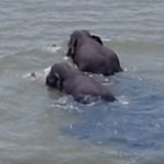 ஈரான், லெபனான் மீது இஸ்ரேல் உக்கிர தாக்குதல்! தொடரும் பதற்றம்!!