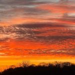 ஈரான் கப்பலுக்கு அடைக்கலம்: பொன்சேகா கூறுவது என்ன?