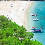 முன்னாள் தொழிலாளர் கட்சி எம்.பி. காலமானார்