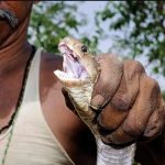 பருத்தித்துறையில் மூன்று மீனவர்கள் மாயம்: தேடுதல் வேட்டை முன்னெடுப்பு!