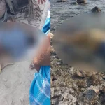 ஹார்முஸ் நீரிணையில்  பயணிக்கும் கப்பல்களுக்கு சுங்கவரி: ஈரான் புதிய திட்டம்!