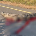 ஹார்முஸில் பதற்றம் – 1,000 கப்பல்கள் வரிசையில் காத்திருப்பு