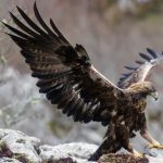 பிரித்தானியாவில் அதிகரிக்கும் வாழ்க்கை செலவு – நெருக்கடியில் அரசாங்கம்!