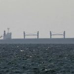 புதையல் தோண்டிய 11 பேர் கைது