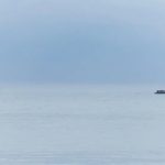 விவசாயத்தில் விஷம் – பிரித்தானியாவில் கிளைபோசேட் எதிர்ப்பு அலை உயர்வு