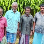 புத்தாண்டு காலத்தில் அதிவேக வீதிகள் மூலம் 163 மில்லியன் ரூபாவிற்கும் அதிக வருமானம்