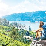 அடுத்த மாதம் முதல் அறிமுகமாகிறது டிஜிட்டல் வாகன காப்புறுதி அட்டைகள்