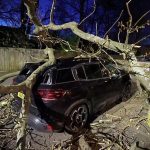 கொழும்புக்கு எரிபொருள் வழங்க பீஜிங் பச்சைக்கொடி!