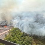 தங்க நிற உடையில் தேவதை போல மின்னிய மீனா!