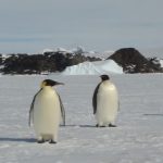 தமிழகத்தில் அனல் பறக்கும் பிரச்சாரம் – சிவகங்கை மாவட்டத்திற்கு விஜய் நாளை விஜயம்