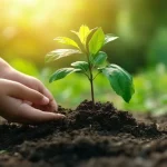 2026 ஆம் ஆண்டுக்கான தமிழக சட்டமன்ற தேர்தல் ஆரம்பம்!