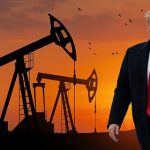 விஜய் பிரச்சாரத்தில் அனுமதிக்கப்பட்டதை விட அதிகளவானோர் கூடியதாக புதுச்சேரி தவெக நிர்வாகி மீது வழக்கு