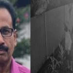 ஹன்டா வைரஸால் பாதிக்கப்பட்ட சொகுசு கப்பலை கிருமி நீக்கம் செய்ய நடவடிக்கை!