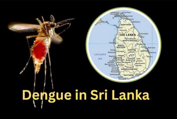 2026 ஜனவரி முதல் இதுவரையான காலப்பகுதியில் 52 ஆயிரத்து 68 பேர் டெங்கு காய்ச்சலால் பாதிக்கப்பட்டுள்ளனர்.